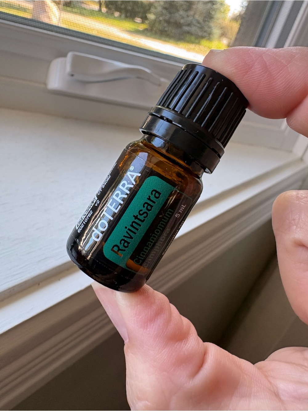 doTERRA Ravintsara Essential Oil - Amber Bottle 5ml